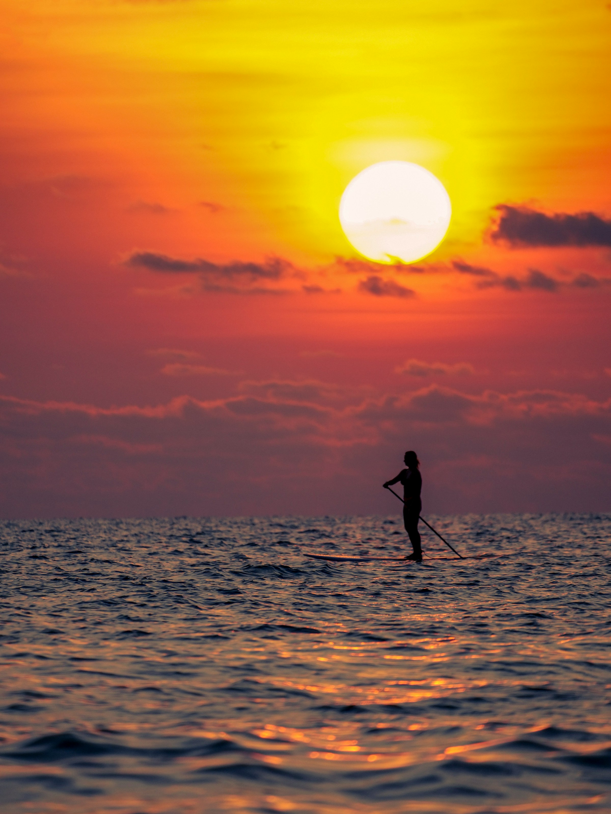 SUP boarder silhouette at sunset